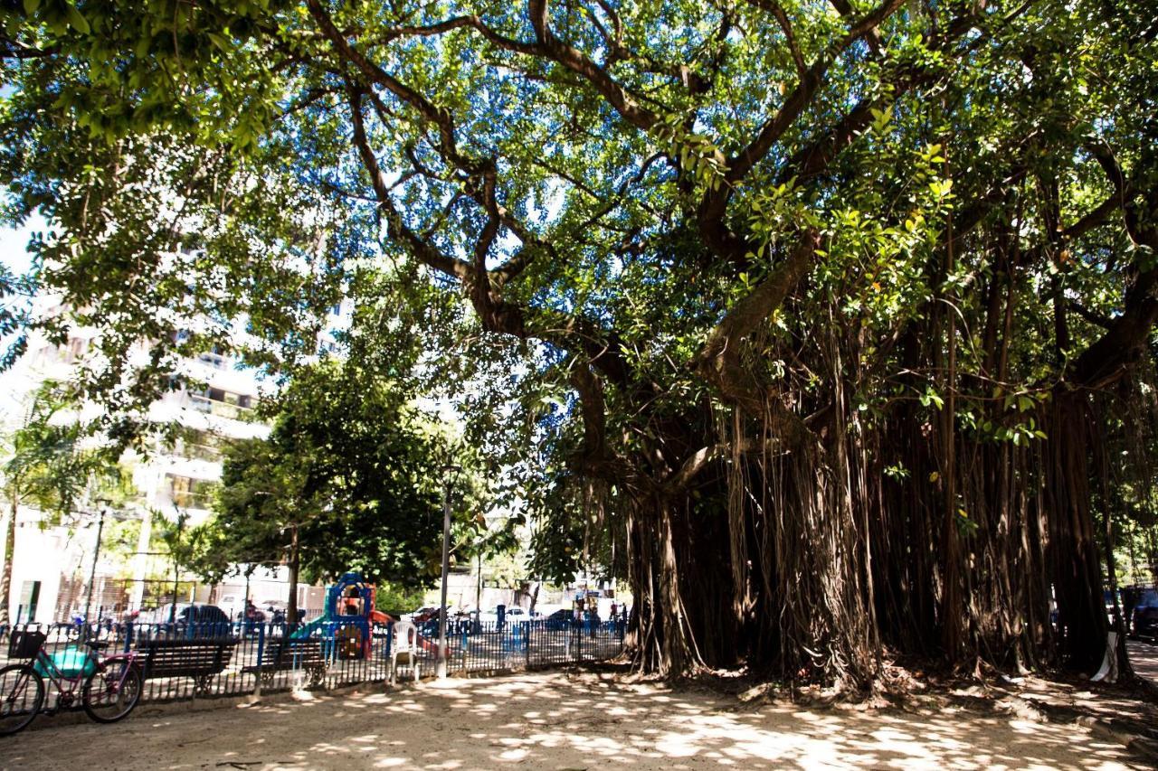 Melhor Local Da Zona Norte Sem Taxas Recife Luaran gambar
